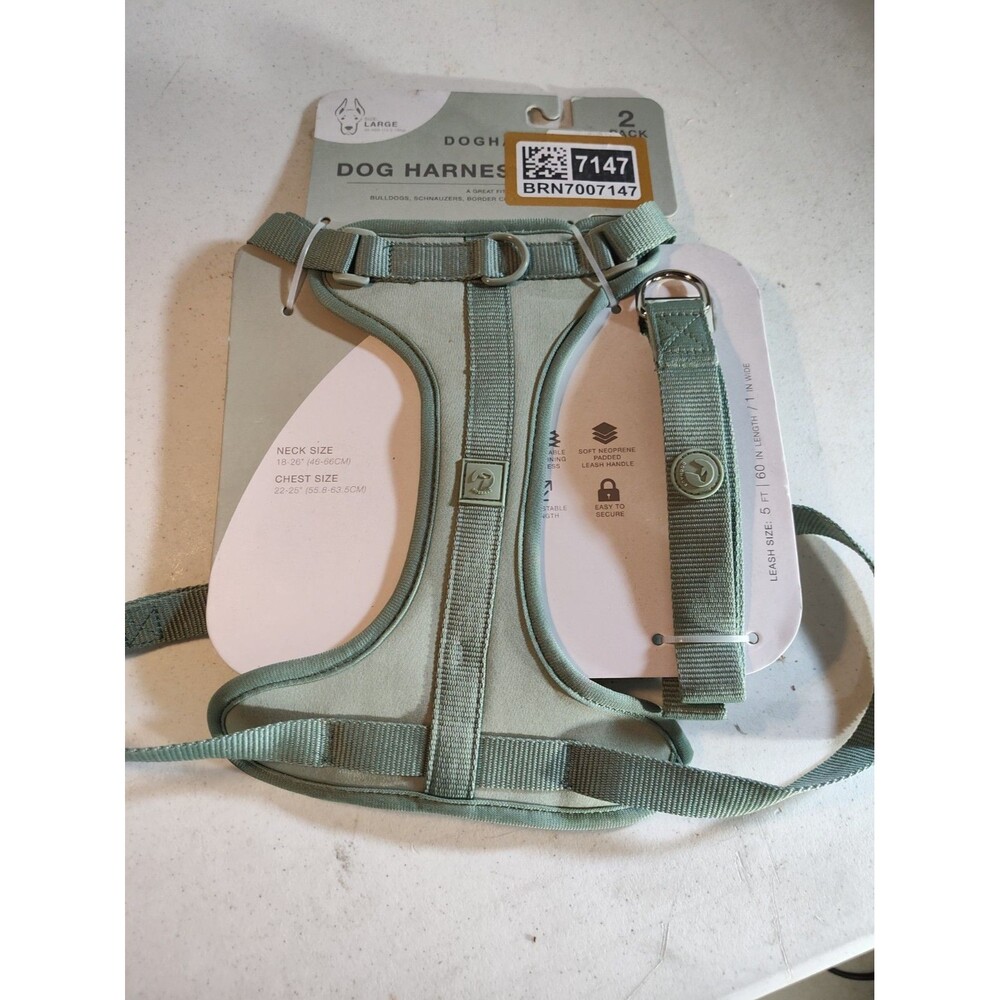 Large Dog Harness And 5 Ft Leash Mint Green 1193